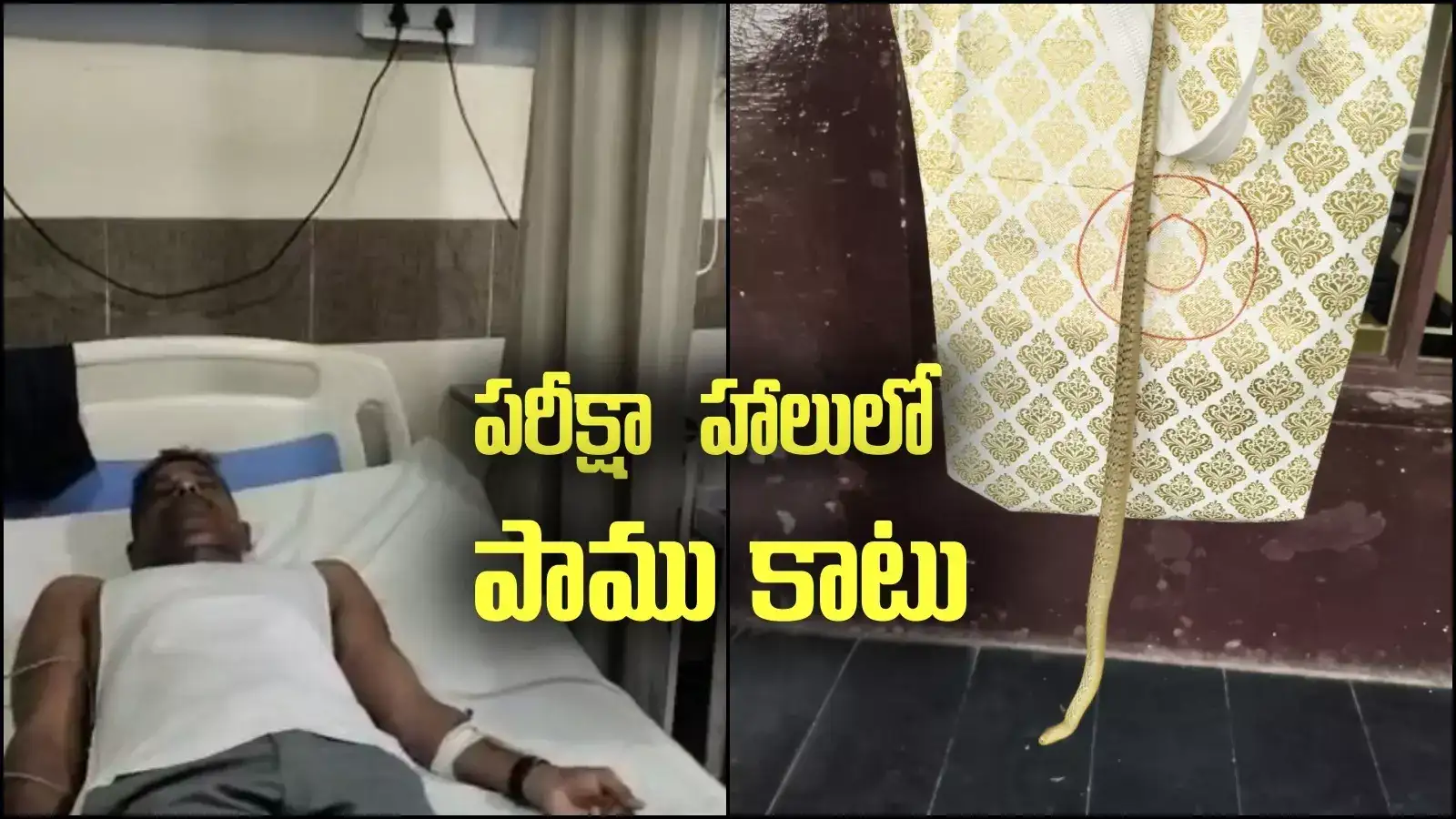 AP 10th Class Exams: పదో తరగతి పరీక్షల చెకింగ్‌కు వెళ్లిన అధికారి.. ఎగ్జామ్ సెంటర్లో కాటేసిన పాము..