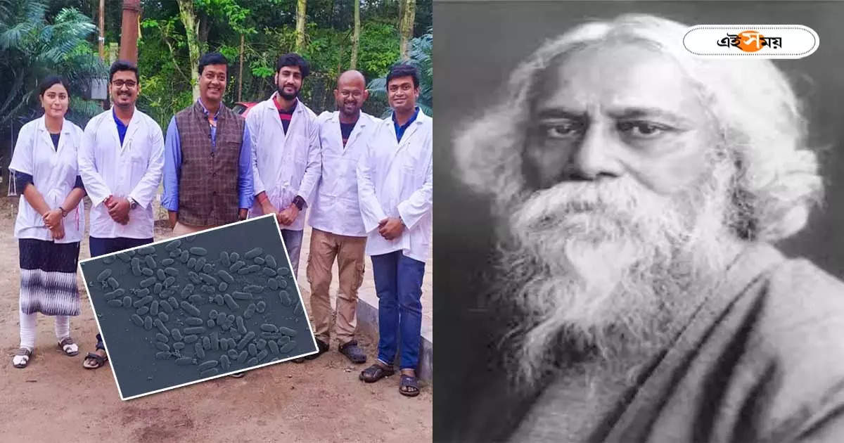 Visva Bharati University : নতুন প্রজাতির ব্যাকটেরিয়া আবিষ্কার বিশ্বভারতীর, নাম দেওয়া হল রবি ঠাকুরের নামে – visva bharati university researcher invented new species of bacteria is named after rabindranath tagore