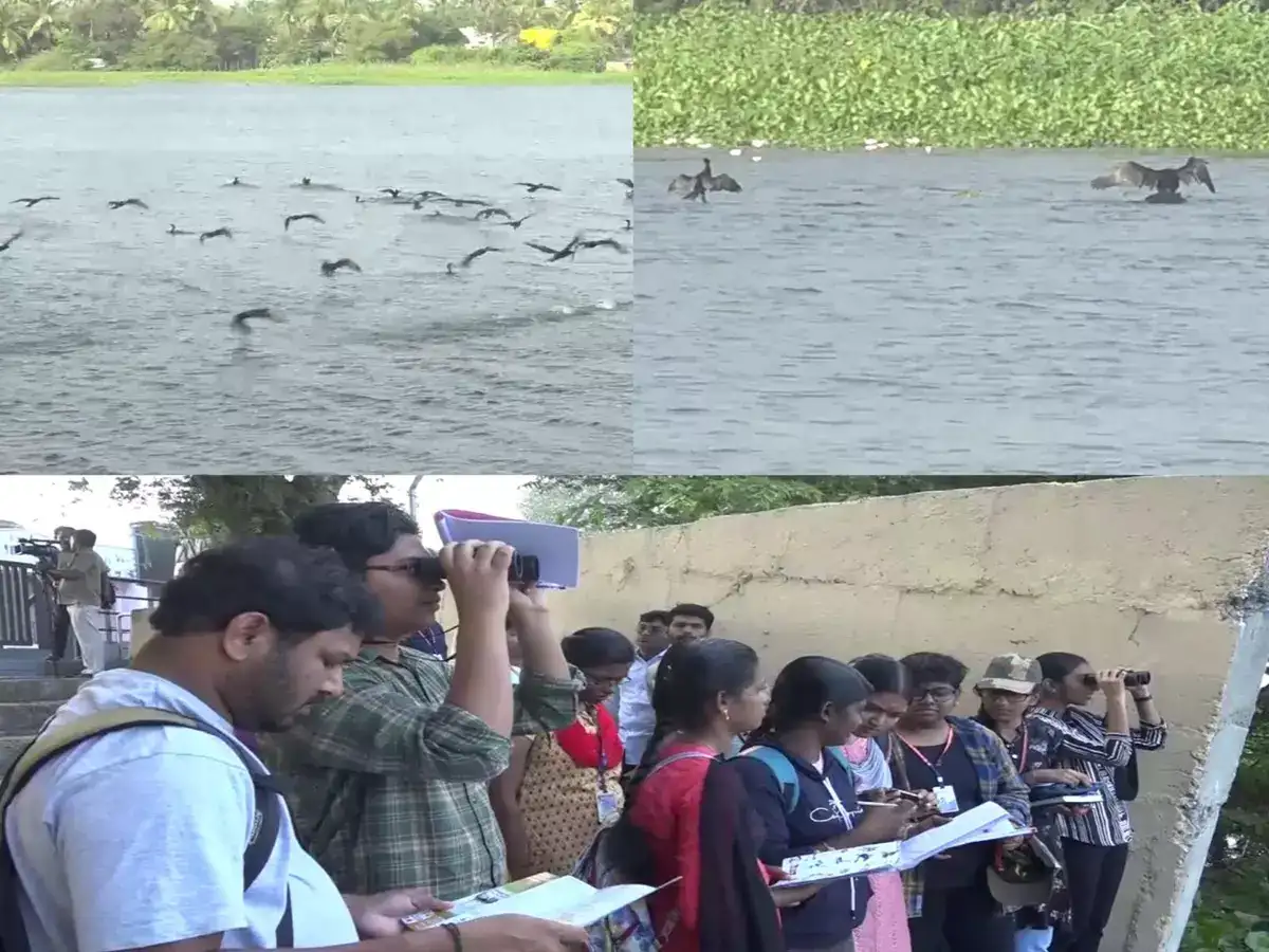 நெல்லை, தூத்துக்குடி, தென்காசியில் பறவைகள் கணக்கெடுக்கும் பணி துவக்கம்! ஏராளமான தன்னார்வலர்கள் பங்கேற்பு! 