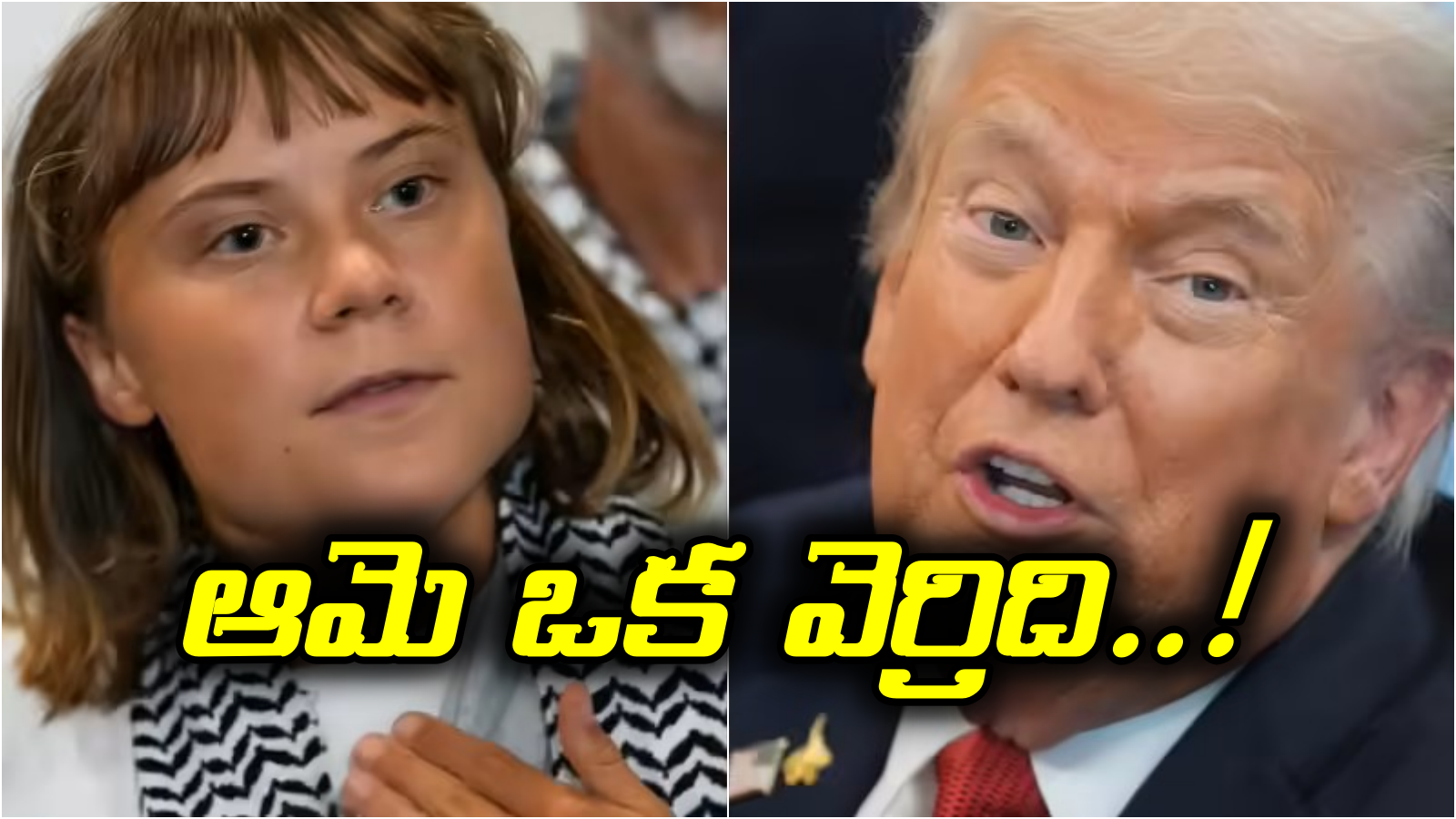ఆమె వెర్రిది.. డాక్టర్లకు చూపించండి..! పర్యావరణ ఉద్యమకారిణి  గ్రెటా థన్‌బర్గ్‌పై ట్రంప్ ఫైర్..
