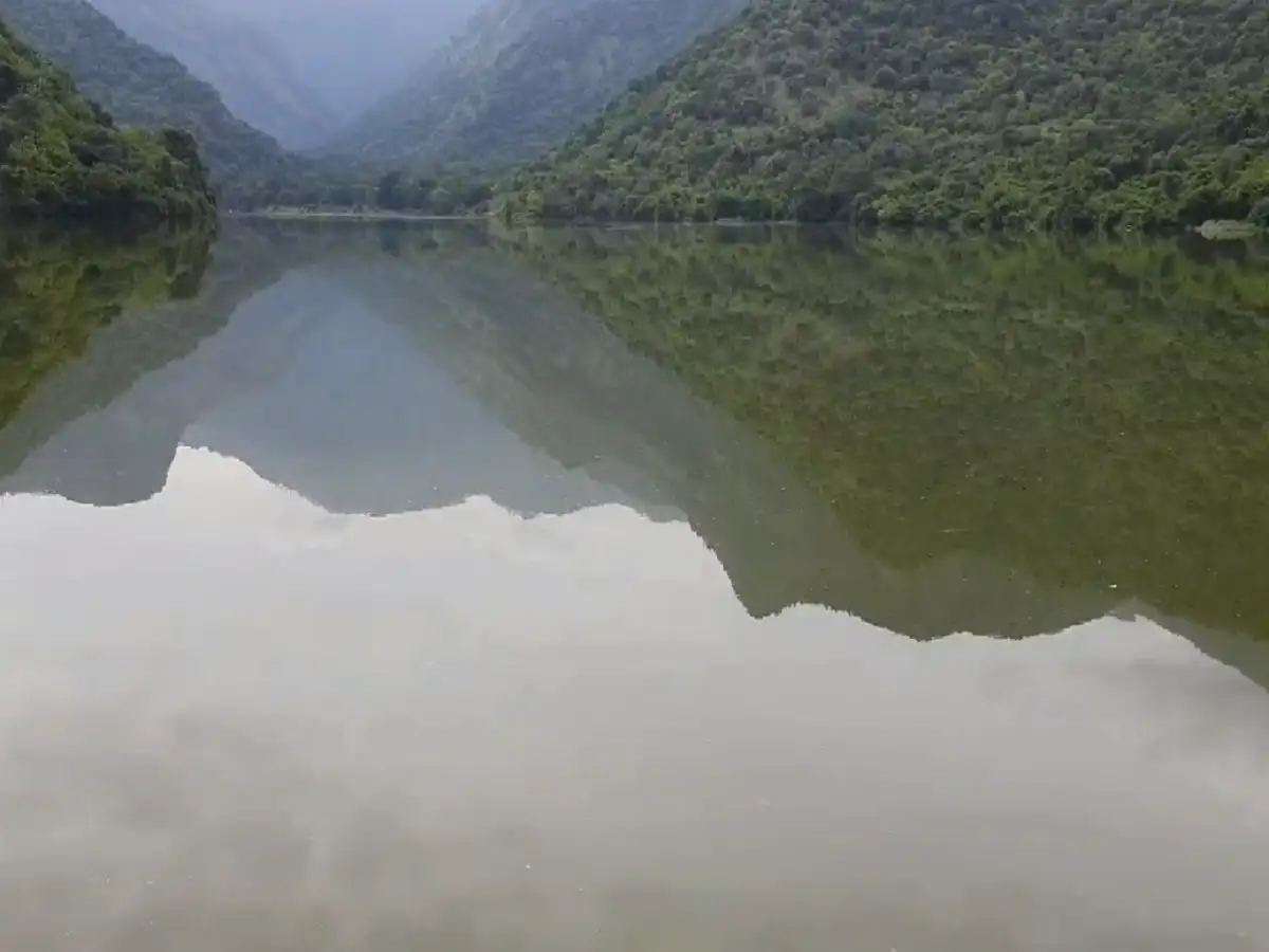 கனமழையால் நிரம்பி வழியும் வரதமாநதி நீர்த்தேக்கம்; திண்டுக்கல் விவசாயிகள் மகிழ்ச்சி! 