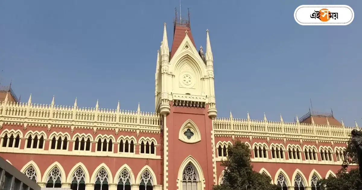 Calcutta High Court : এজলাসে হাজির ‘ইন্টারন্যাশানাল জজ’-কে ঠান্ডা মাথায় সামাল, বিচারপতি সব্যসাচী ভট্টাচার্যকে চেনেন? – know about calcutta high court justice sabyasachi bhattacharyya who deals with a trespassers in recent times