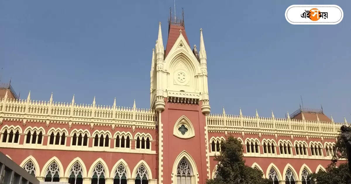 ‘কিছু তথ্য সামনে আনা সম্ভব নয়’, নিয়োগ দুর্নীতিতে CBI রিপোর্ট পেশ করার পর স্পষ্ট জানাল হাইকোর্ট