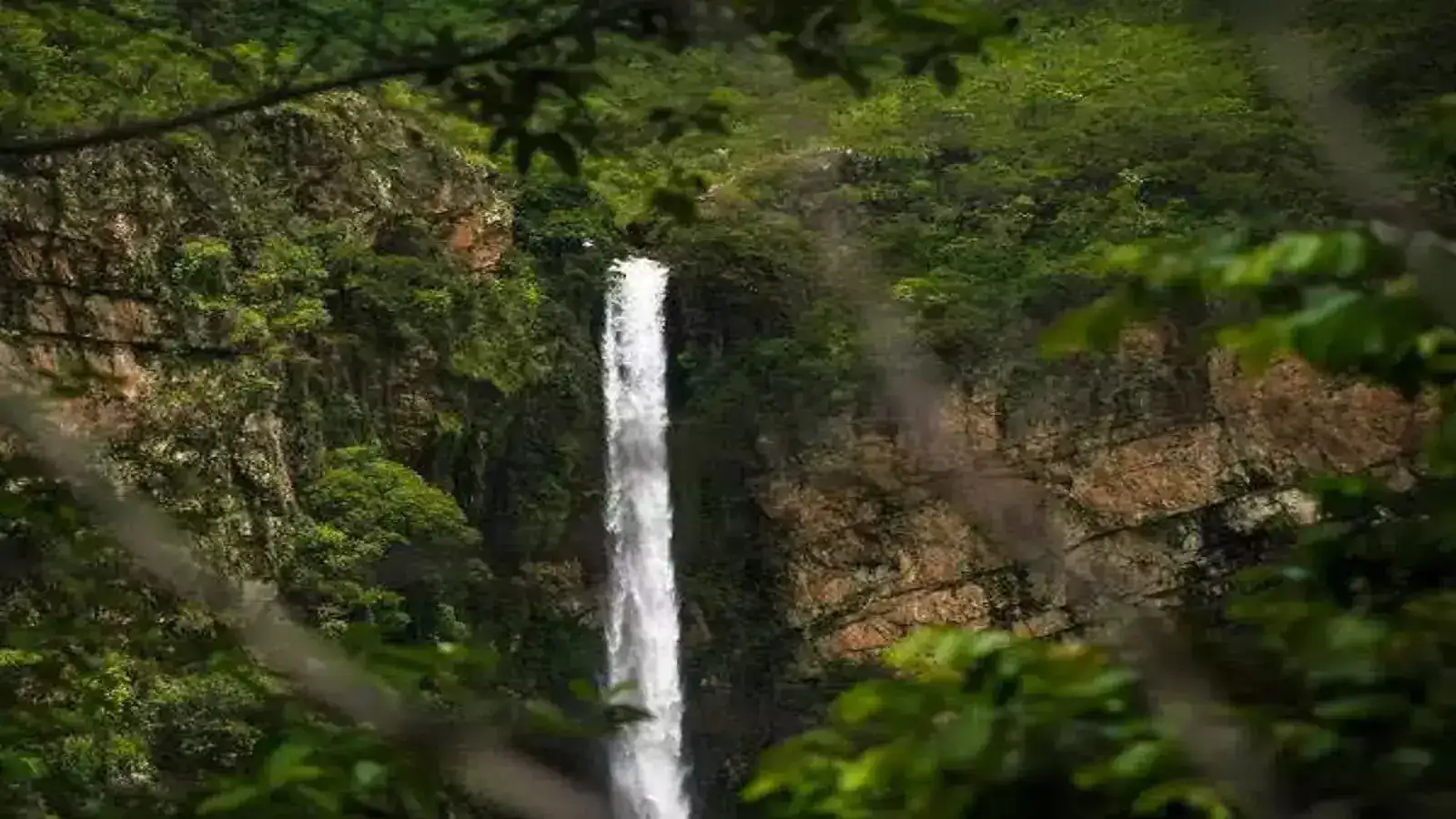 கொட்டிய கோடை மழை: எலி வால் அருவிக்கு நீர் வரத்து! 