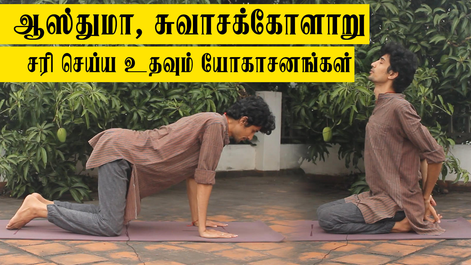 yoga for asthma in tamil - Quality assurance - OFF 55%
