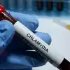 Chlamydia in Pregnancy: Symptoms, Risks and Treatment