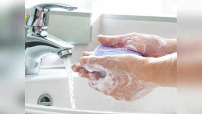 World Hand Hygiene Day: হাতে হাতে ধরি ধরি করেই কিন্তু ছড়িয়ে পড়ে জীবাণু! তাই সুস্থ থাকতে এই উপায়ে এতক্ষণ হাত ধুতে ভুলবেন না