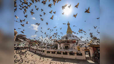 Buddha jayanti 2023: विश्व की सबसे खूबसूरत जगह पर हुआ था भगवान बुद्ध का जन्म, घूमने के लिए एकदम बेस्ट