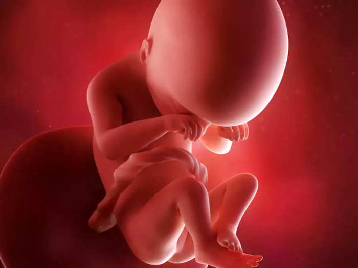 baby womb