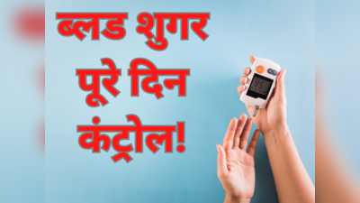 1 Day Diet Plan To Reverse Type 2 Diabetes: सुबह 7 से रात 7 बजे तक ये चीजें खाएं, रिवर्स होने लगेगी डायबिटीज