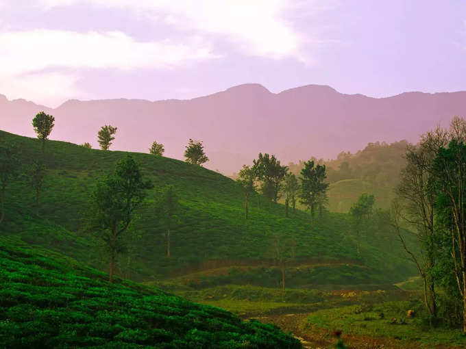 ಮೆಕ್ಲಿಯೋಡ್‌ಗಂಜ್