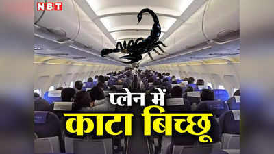 Air India News: सांप-चूहे के बाद अब प्लेन में निकला बिच्छू, महिला को काटा तो एयरपोर्ट भेजा गया अलर्ट