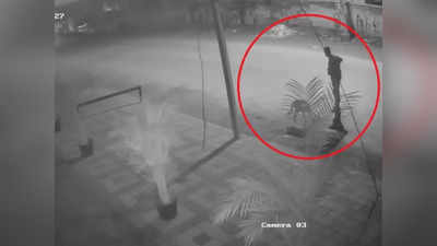 Sambhajinagar Crime: कॅफेजवळ कुत्र्याचा मृतदेह दिसला, नंतर CCTV पाहून मालकही हादरला; पोलिसांकडून तपास सुरू