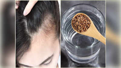 Flax Seeds For Hair: এই বীজের গুণে টাকেও নতুন চুল গজায়, ব্যবহারের সবচেয়ে সহজ নিয়মটি শিখে নিন