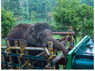 വനംവകുപ്പിന്റെ വാഹനം തകര്‍ത്ത് അരിക്കൊമ്പന്‍; മേഘമലയില്‍ നിരോധനാജ്ഞ, റേഡിയോ കോളര്‍ പ്രവര്‍ത്തിക്കുന്നില്ല