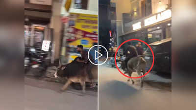 Funny Viral Video: बैल को सवारी बनाकर सड़क पर उतरा शख्स, लोग बोले- हिंदुस्तान में कुछ भी असंभव नहीं है!