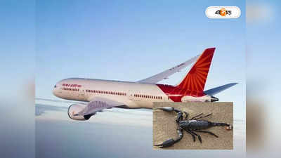 Air India: মহিলা যাত্রীকে কাঁকড়াবিছের কামড়! মাঝ আকাশে হুলস্থূল