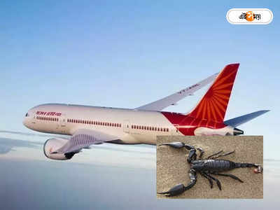 Air India: মহিলা যাত্রীকে কাঁকড়াবিছের কামড়! মাঝ আকাশে হুলস্থূল