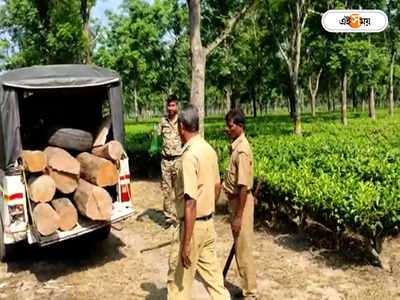 Alipurduar News : আলিপুরদুয়ারে বন দফতরের পৃথক অভিযানে উদ্ধার লাখ লাখ টাকার চোরাই কাঠ, ধৃত ২