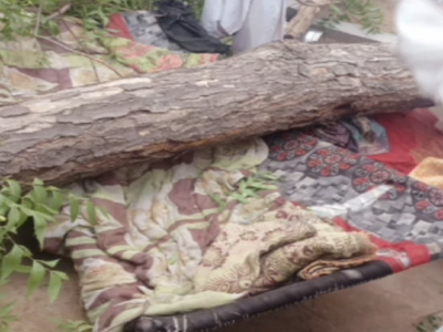 બનાસકાંઠામાં ઘરની બહાર સૂતેલા પરિવાર પર વાવાઝોડાને કારણે લીમડાનું ઝાડ પડ્યુ, સગર્ભાનું મોત