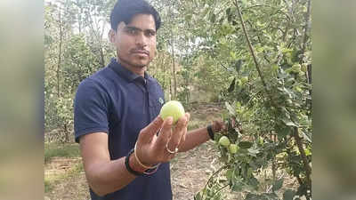Ghazipur: गाजीपुर की 45 डिग्री सेल्‍सियस की गर्मी में उगा रहा है सेब, किसानों के लिए मिसाल बना इंजीनियर