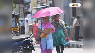 Kolkata Weather Today : ফের ৪০ ডিগ্রির গরমে পুড়বে বাংলা! ৭ জেলায় ঝেঁপে বৃষ্টির পূর্বাভাস