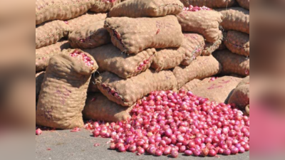 ‘नाफेड’तर्फे लवकरच कांदा खरेदी; कांदा उत्पादक शेतकऱ्यांच्या मिळणार दिलासा