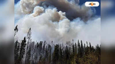 Forest Fires in Canada : ভয়াবহ দাবানলে পুড়ছে কানাডার আলবার্টা, জরুরি অবস্থা জারি