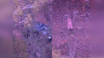 Rescue Operation: घनदाट जंगलात महिला अडकली, ५ दिवस फक्त दारुवर जगली, VIDEO पाहून थक्क व्हाल
