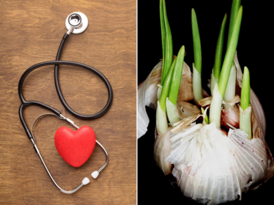Sprouted Garlic: વૈજ્ઞાનિકોનો દાવો - બસ 5 દિવસ ખાવ અંકુરિત લસણ, હાર્ટ અટેક-સ્ટ્રોક, કેન્સરનું જોખમ થઇ જશે ઝીરો