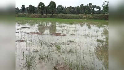 சிவகங்கை; கண்மாயிலிருந்து வீணாக வெளியேறும் மழைநீர்... புதிய மடை கட்டித்தர விவசாயிகள் கோரிக்கை!