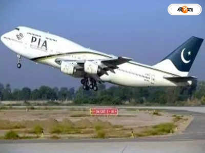 Pakistan Flight In Punjab : পঞ্জাবের আকাশে চক্কর পাক বিমানের! গতিবিধির উপর নজরদারি ভারতীয় বায়ুসেনার