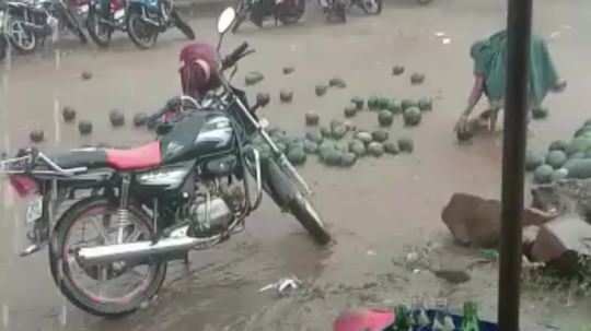 unseasonal rain in mp watermelons were seen flowing on the road watch video