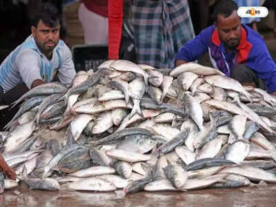 Ilish Fish Price : ২ কেজি ইলিশের দাম ৫০০০, দাম শুনে বেজার মুখে ফিরছেন ক্রেতারা