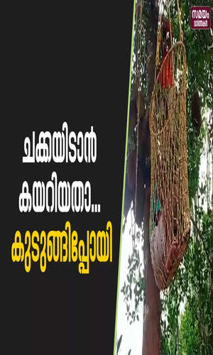 samayam/kerala-videos/wayanad/video-report-on-fireforce-rescued-youngman-stranded-in-tree-in-wayanand