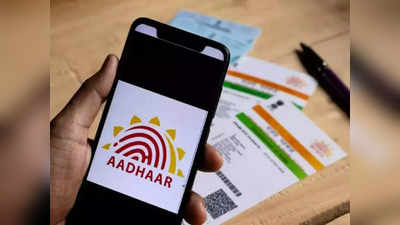 Aadhaar किंवा PAN Card हरवलं? चिंता नका करु फ्री मध्ये मिळवू शकता परत