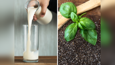 Calcium Foods: दूध-पनीर छोड़ खाएं 10 चीजें, इस फूड में मिलेगा 5 गुना कैल्शियम, गिरने से भी नहीं टूटेगी हड्डी