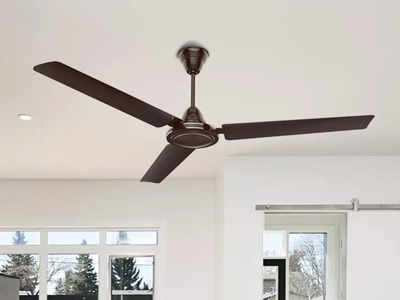 Fan For Ceiling: फर्राटे वाले पंखे की हवा को फेल कर देंगे ये सीलिंग फैन, देते हैं सबसे तेज हवा