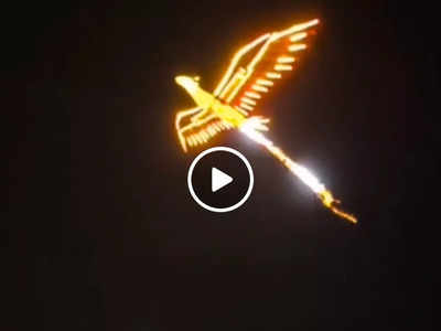 Phoenix Bird Like Stuff: शख्स ने आसमान में उड़ाई फीनिक्स जैसी चमकीली चिड़िया, सब पूछने लगे- कहां से मिलेगी ये?