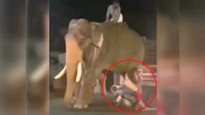 Papa Ki Pari Video: महिला स्कूटी लेकर हाथी से टकरा गई, फिर गजराज ने जो किया वो कैमरे में कैद हो गया