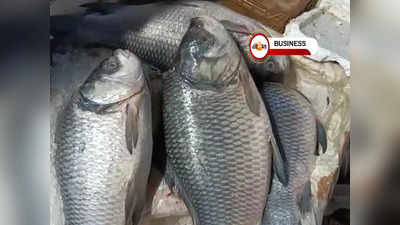 Fish Market Rate in Kolkata: বাজারে মাছের দামে আগুন, সস্তায় কিনবেন কী কী?