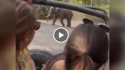 Jungle Viral Video: जंगल में हाथी को देख लड़कियों ने की ऐसी हरकत, वीडियो देख IFS को भी गुस्सा आ गया!