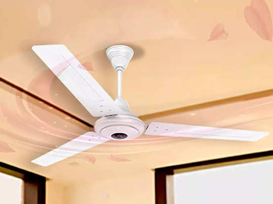 BLDC Ceiling Fan Price: गर्मी के पसीने छुड़ा देंगे ये सीलिंग फैन, BLDC मोटर से मिलेगा फास्ट एयर फ्लो 