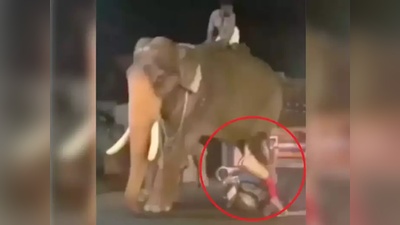 ‘आता तर हत्ती सुद्धा सुरक्षित नाही’, ‘स्कूटी गर्ल’नं थेट हत्तीलाच उडवलं, व्हिडीओ व्हायरल