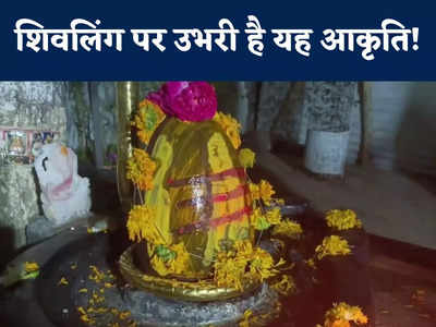 MP News: चमत्कार! बुरहानपुर में शिवलिंग पर अचानक बन गई शिव-पार्वती की आकृति