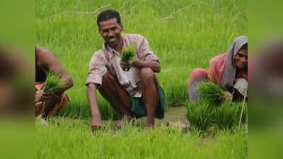 MP News: बीजेपी ने किसान कर्ज माफी का चला दांव तो कांग्रेस ने किया पलटवार- यह भूखे किसानों के लिए एक निवाले जैसा