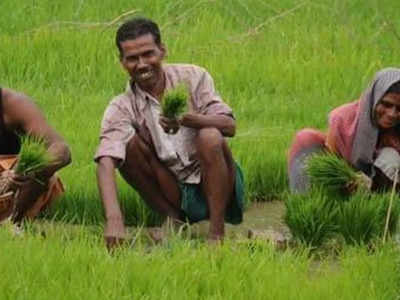 MP News: बीजेपी ने किसान कर्ज माफी का चला दांव तो कांग्रेस ने किया पलटवार- यह भूखे किसानों के लिए एक निवाले जैसा