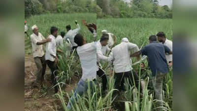 Video : शेतात पाय ठेवला तर...; शेतात रस्ता बनवण्याच्या वादातून दोन कुटुंबांमध्ये तुंबळ हाणामारी