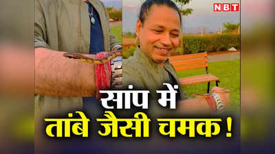 Snake Video: तांबे की चमक बिखेरने वाला सांप देखा है! देखिए कैलाश खेर ने हाथ पर लेकर की बात