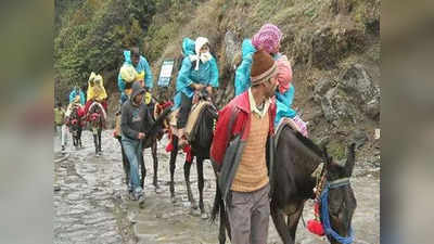 पशुओं से इंसानों का अमानवीय व्यवहार, आराम न गर्म पानी, Kedarnath Yatra शुरू होने के 15 दिनों में 16 घोड़ा-खच्चरों की मौत